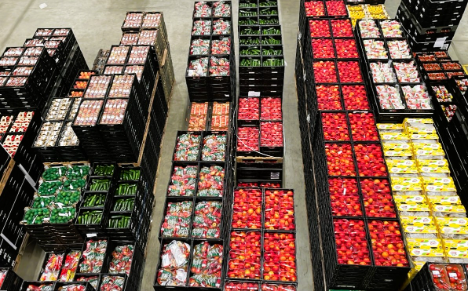 ALDI SÜD startet neue Frischeplattform für BadenWürttemberg ‹ Fruchtportal